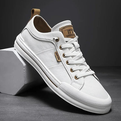 Men's Low-Top Casual Sneakers – Spring & Autumn